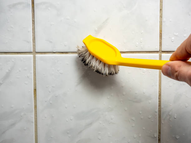Best Bathroom Mold Remediation in Mayer, MN