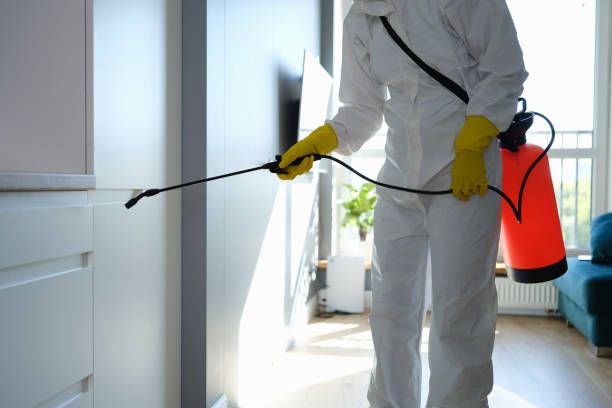 Professional Mold Remediation in Mayer, MN